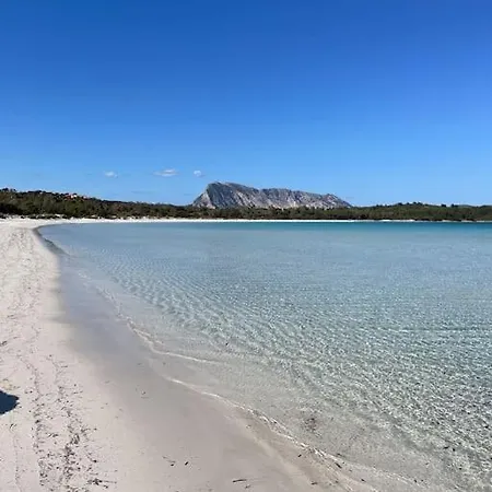 Flat Flumendosa 31 אולביה